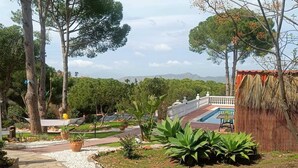 Un jardin avec un sentier, du gravier blanc et différentes espèces de plantes.