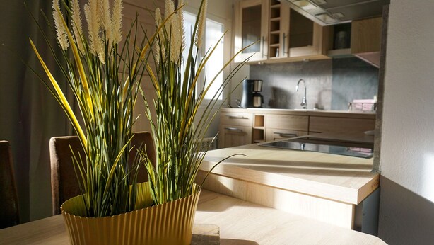 Une cuisine moderne avec un plan de travail en bois, un vase jaune contenant des plantes vertes et une vue sur l’espace cuisine.