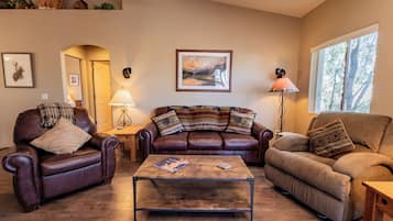 智能电视、壁炉、DVD 播放器、书