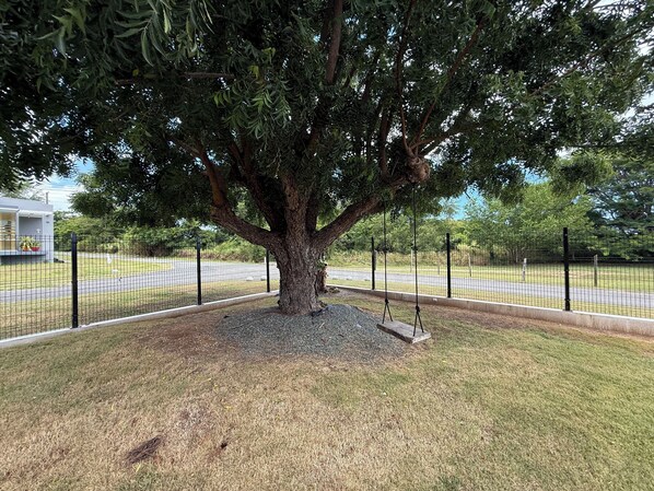 Un árbol grande de tronco grueso y follaje denso, rodeado por una zona de grava y una valla metálica.