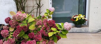 Holiday Home “Le Gîte Écureuil” with Private Terrace, Garden and Wi-Fi