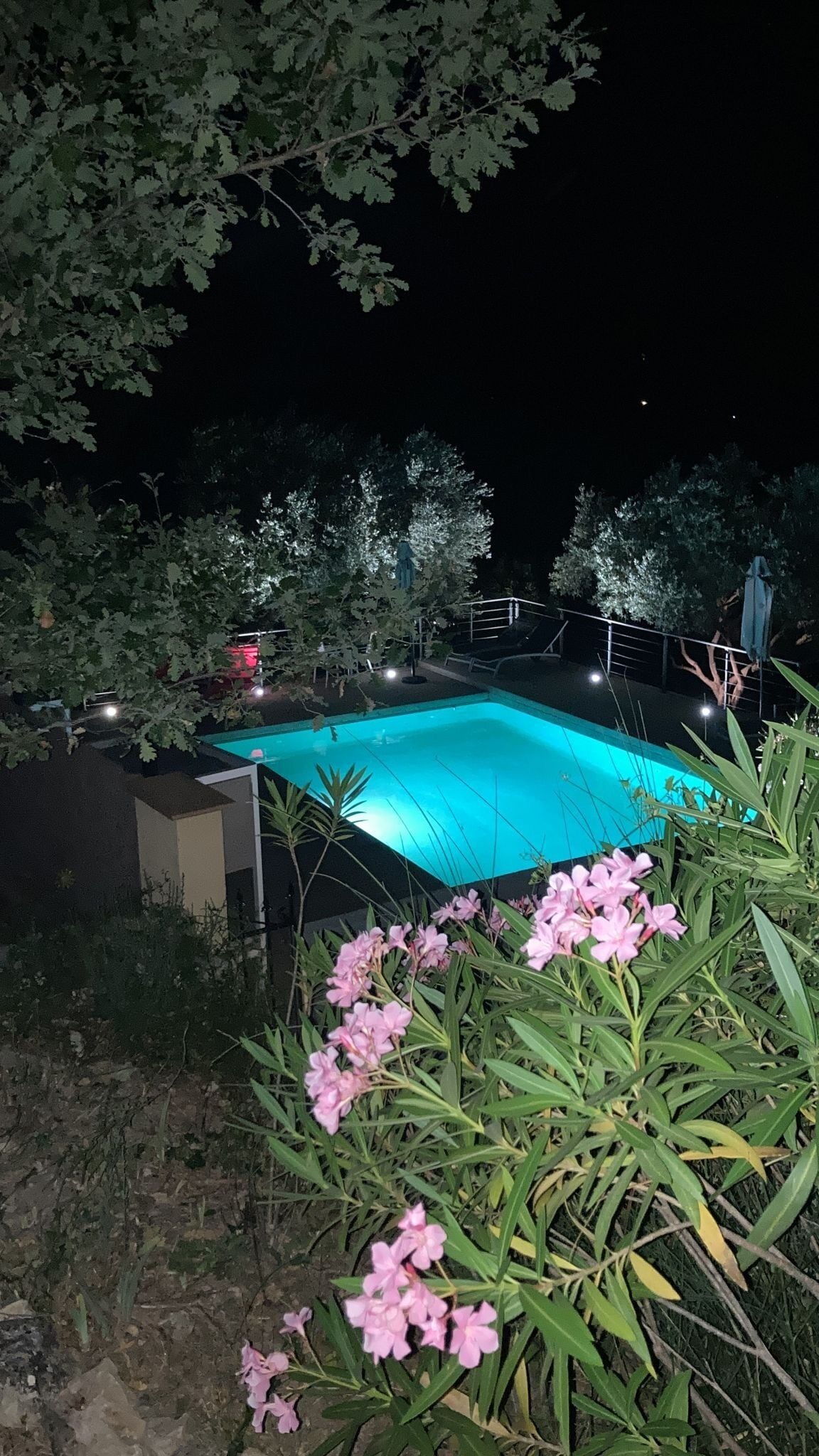 Piscine extérieure (ouverte en saison)