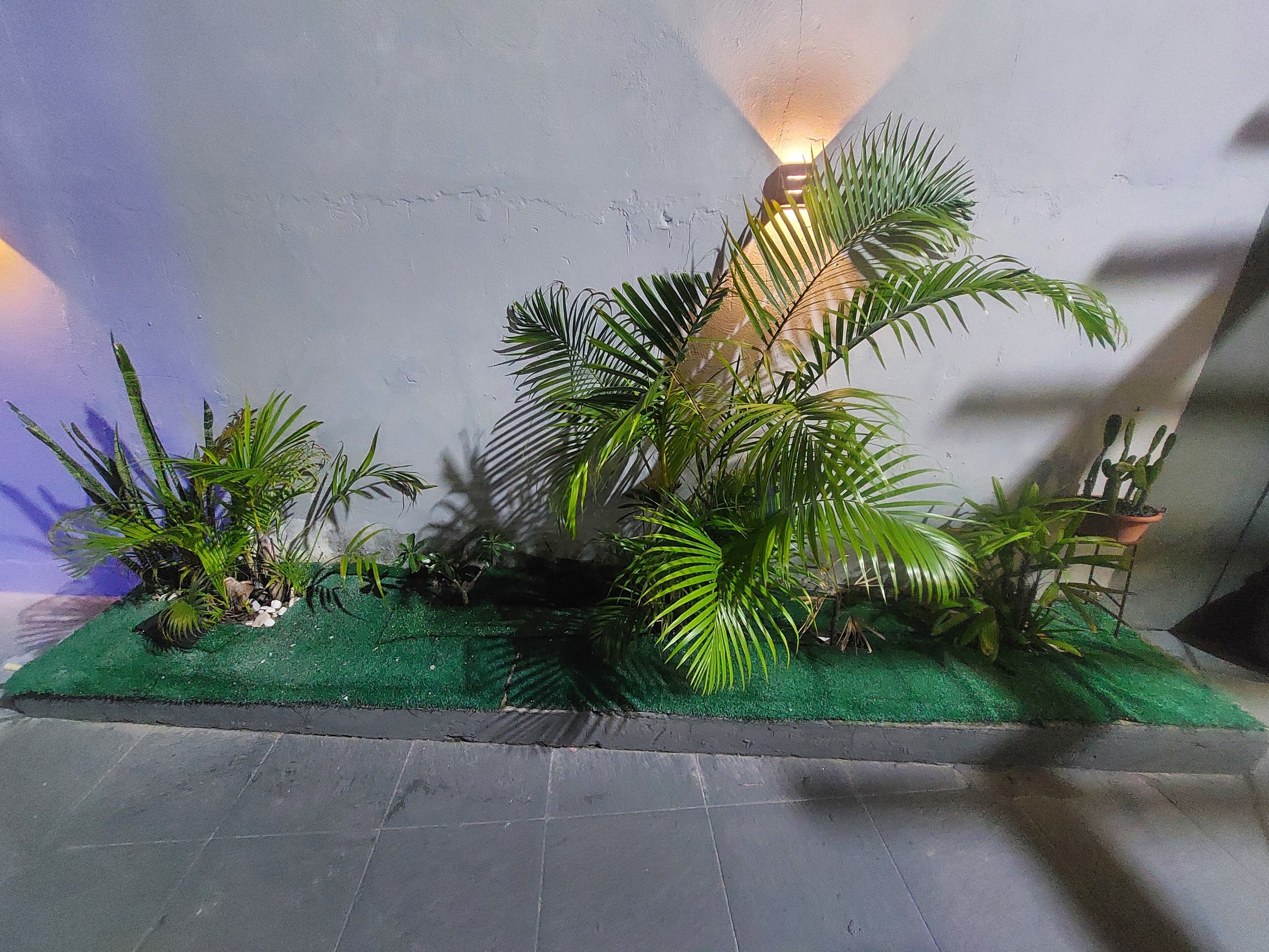 Áreas de la propiedad