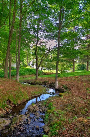 Property grounds - Great Maples (Bernard)