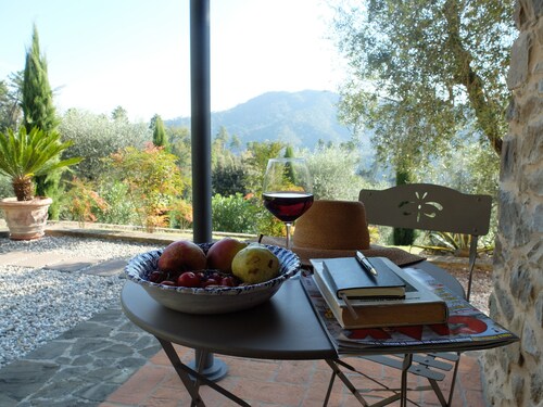 "Casa l'Olivo" in the hills of Lucca with swimming pool 30 min from the sea of Viareggio