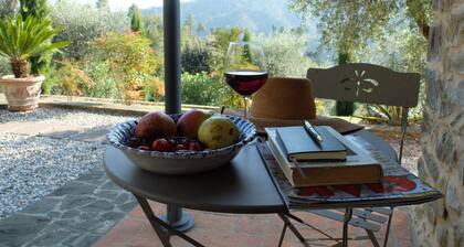 "Casa l'Olivo" in the hills of Lucca with swimming pool 30 min from the sea of Viareggio