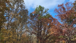 A small, single-story cabin with a wooden deck and a fenced yard, surrounded by trees with autumn foliage.