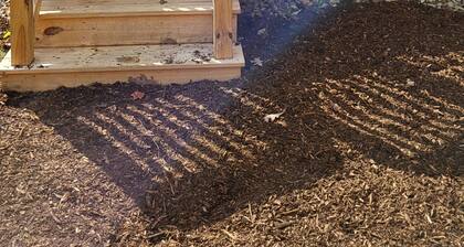 Charming tiny house in Rogersville.
Come relax in this quiet country setting