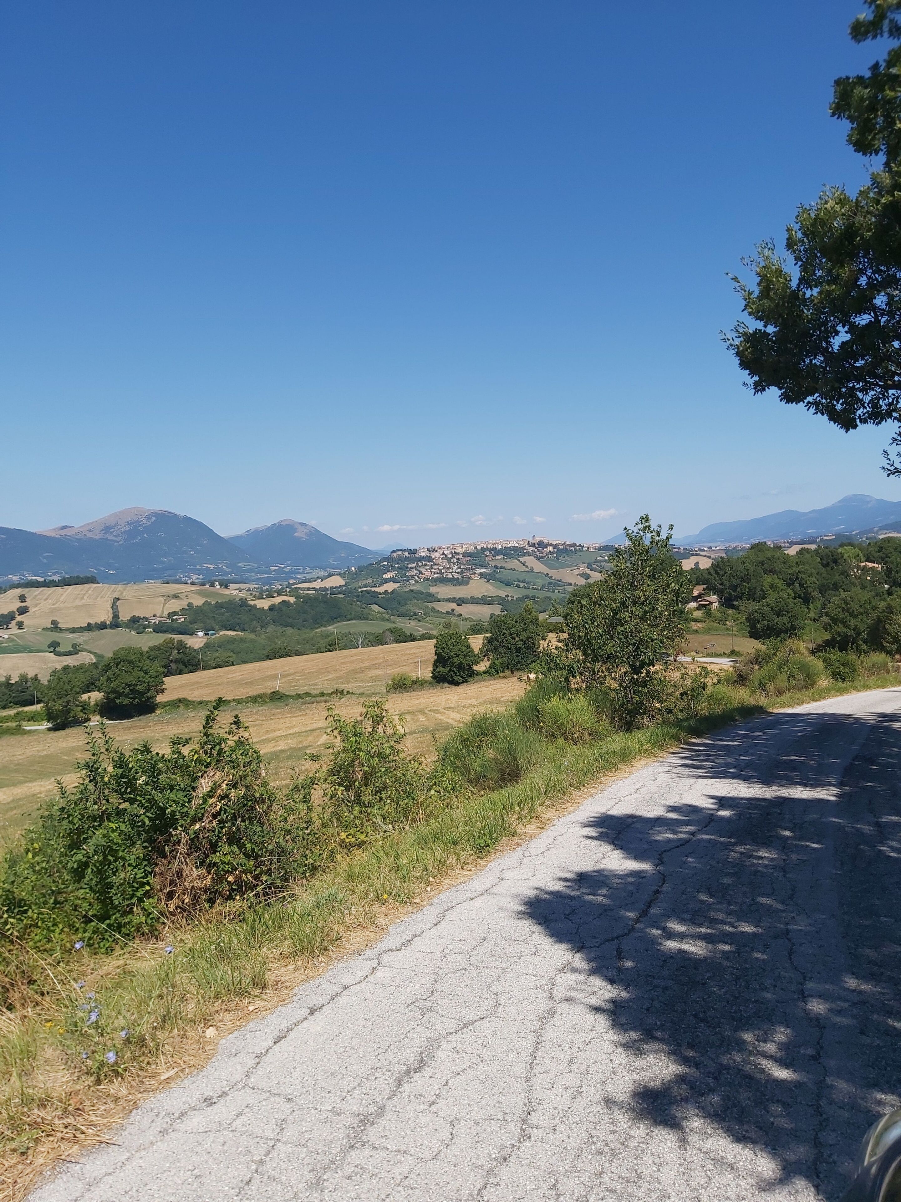 Paisatge rural amb un camí de terra, camps verds i muntanyes allunyades.