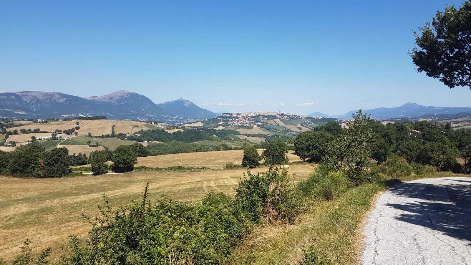 Un paysage rural avec des champs, des arbres et des montagnes à l’horizon.