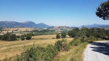Un paysage rural avec des champs, des arbres et des montagnes à l’horizon.