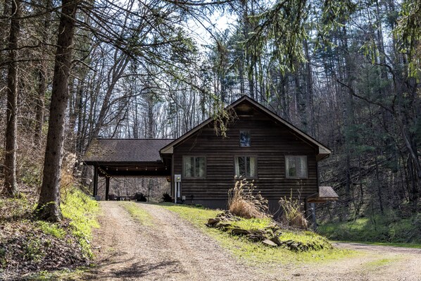 Exterior - Cheerful Cabin, Games, Hot tub, Swings, and Fun! Caves very close! (South Bloomingville)