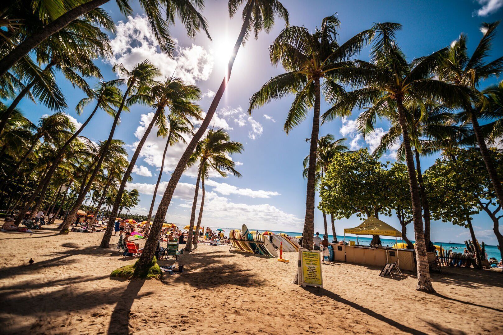 A beach with palm trees, sun, and people.