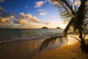 Une plage avec un palmier, une mer calme et des îles lointaines au coucher du soleil.