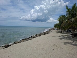 A beach with a rocky shoreline, palm trees, and a clear view of the ocean. - Luxury Near the Sea Buenaventura | Beach, Pool, Golf and Resort Life in Río Hato (Buenaventura)
