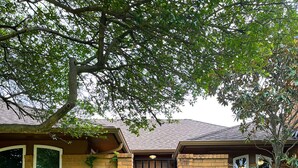 A house with a black front door, brick exterior, and a stone pathway leading to the entrance. - Pet-friendly 4-bedroom + Pool (Richardson)
