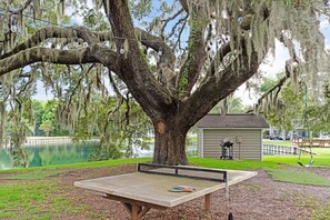 Property grounds - L9  New Listing!  Two king size beds (St. Simons Island)
