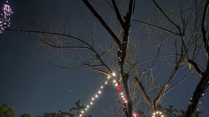 Un área de comedor al aire libre con guirnaldas de luces, una mesa y sillas.