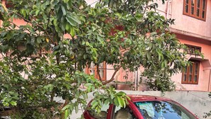 Un auto rojo estacionado en un área verde, con un árbol y una jardinera de ladrillo con flores blancas.