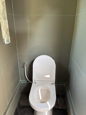 Shower, bidet, towels, soap