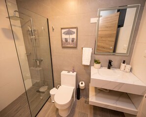 Shower, hair dryer, towels, soap