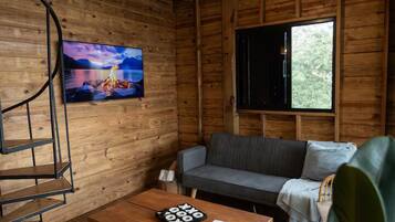 TV connectée, chaîne hi-fi