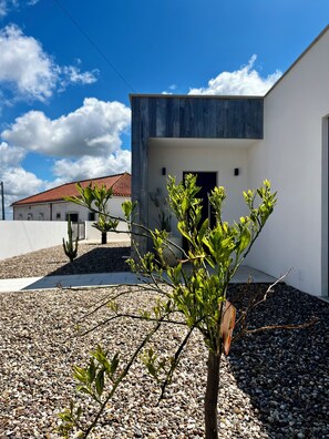 A modern building with a flat roof, surrounded by gravel and small plants.