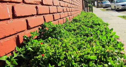 Cozy Studio Near Downtown LA • AC • WiFi • Snacks!