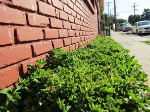 Property grounds - Lovely Studio Near Downtown LA • AC• WiFi • Snacks (Los Angeles)