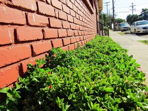 Property grounds - Charming Studio Near DTLA • W/D •AC• WiFi • Snacks (Los Angeles)