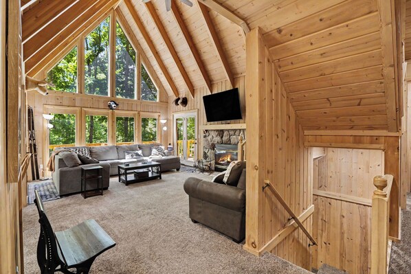 TV, fireplace