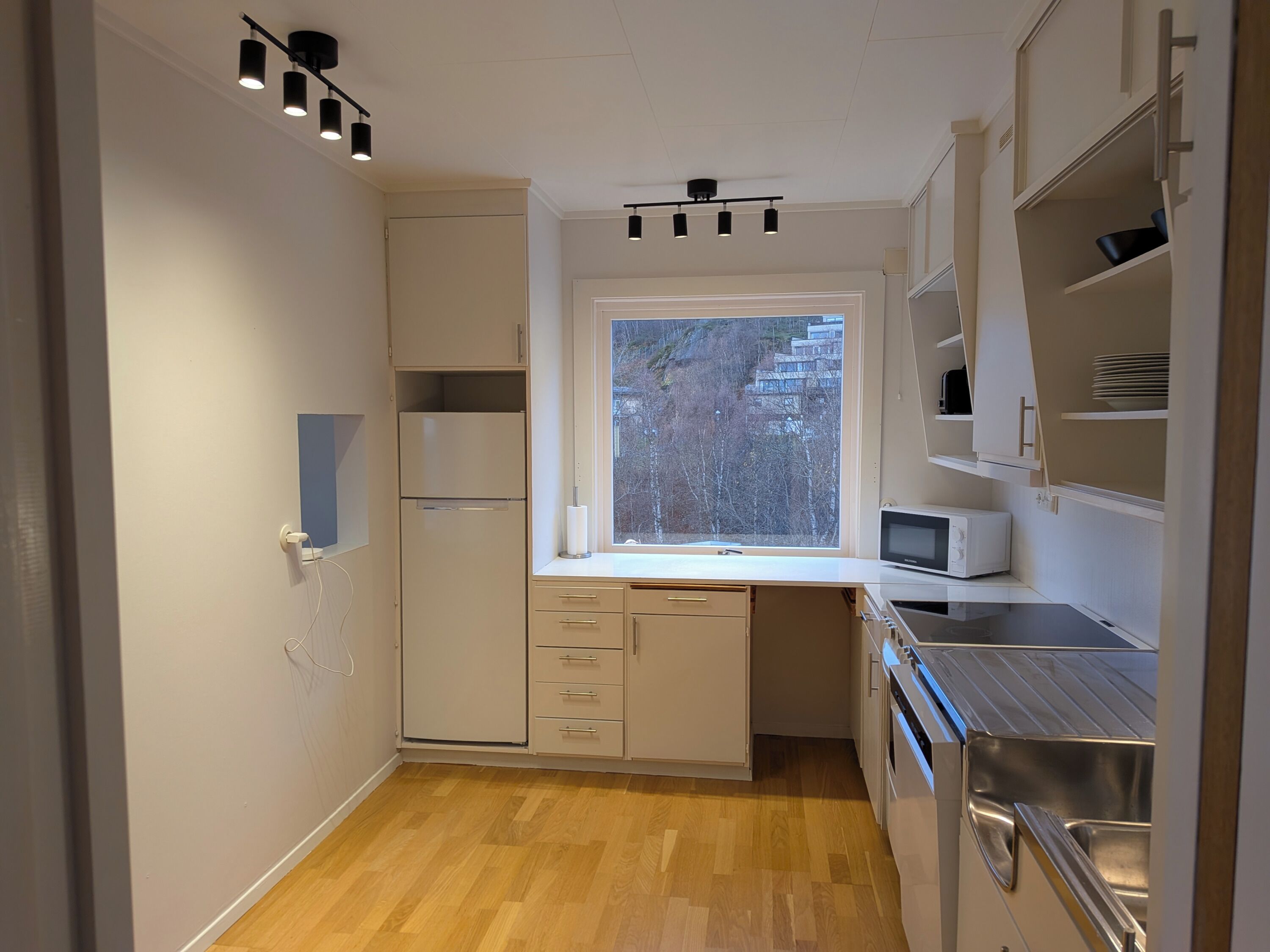 Microondas, horno, placa de cocina, lavavajillas