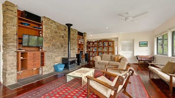 TV, fireplace, books