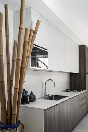 Frigorífico, microondas, horno y placa de cocina