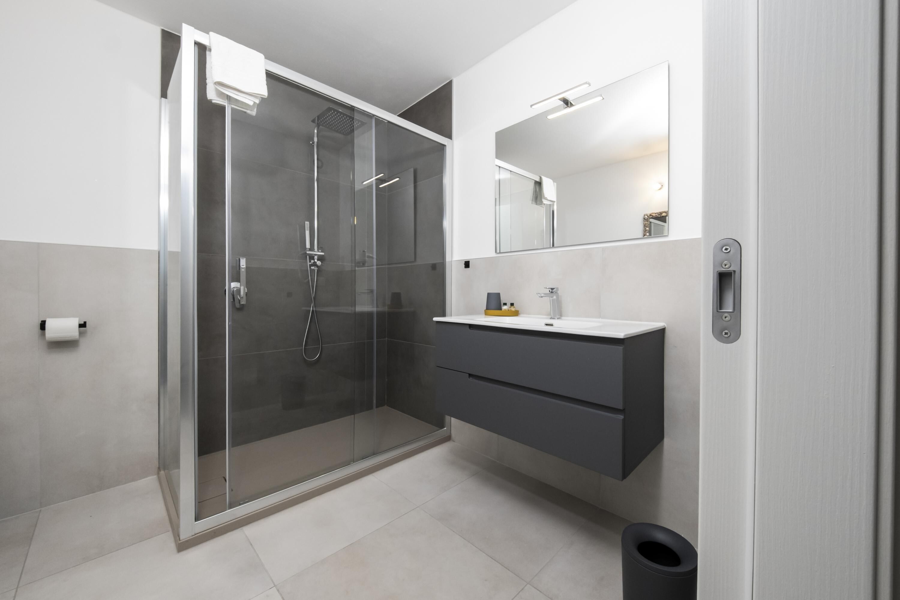 Shower, hair dryer, bidet, towels