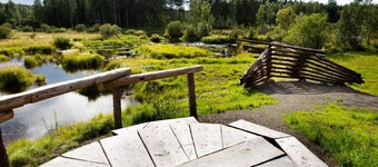 Hakoniemi - Old log house in Northern Saimaa