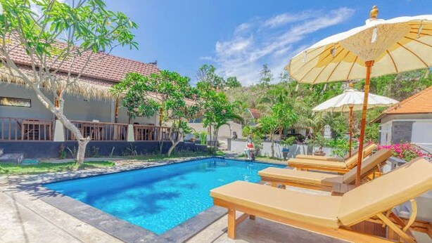 Ảnh chưa phân loại, 1 trong số 2 ảnh, nút