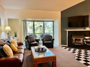 Televisio, takka, kirjoja