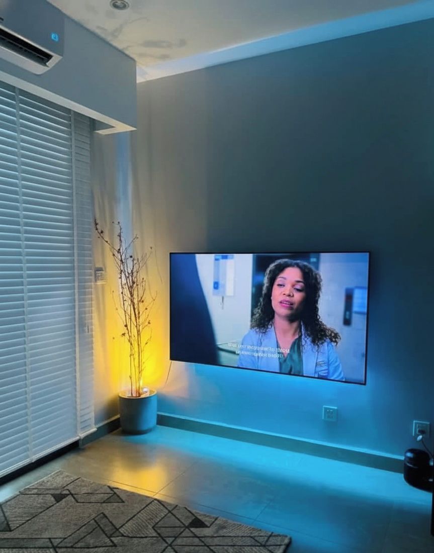 A modern living room with a flat-screen TV mounted on the wall, a potted plant, and a patterned rug.