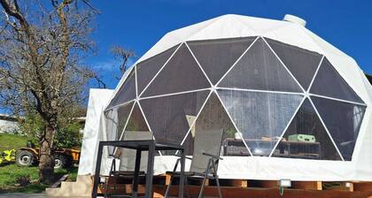 Dome in the middle of nature with jacuzzi