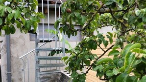 A small outdoor area with a metal staircase leading to a stone platform, surrounded by a wooden fence and a tree. - Appartement mit Dachterrasse, Monkebude (Monkebude)
