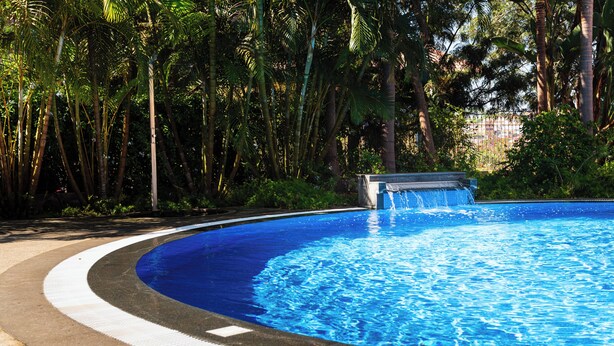 A swimming pool with a clear blue water feature surrounded by lush greenery and palm trees. - MAR E SOL: The ultimate Madeira escape with stunning views and modern comforts! (Funchal)