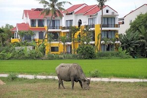 Exterior - Hoi An Four Seasons Villa (Hoi An)