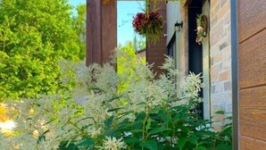 Ein Gebäude mit hängenden Blumenkörben und ein Garten mit weißen Blütenpflanzen.
