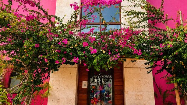 A building with a pink facade, a wooden door, and a window with a reflection. - Hotel Centrico Tulum (Tulum)