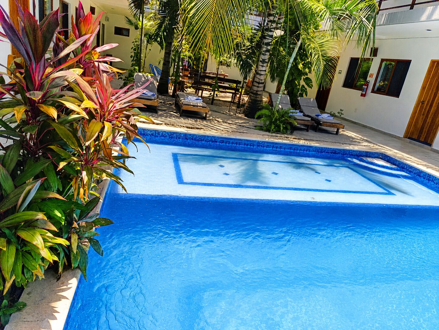 A swimming pool with a blue border, surrounded by lounge chairs and potted plants.