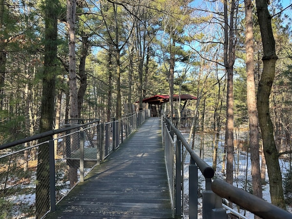 A wooden boardwalk through a forest with a covered shelter at the end. - Lakehouse Sleeps 11, Golf, Trails, Lake, Fireplace, True 4-Season (St. Helen)