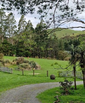 Property grounds - MikiMiki Retreat. Peaceful rural cottage close to Tararua Ranges and Masterton. (Mikimiki)
