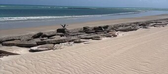 Beachfront Cabin Experience