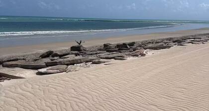 Beachfront Cabin Experience